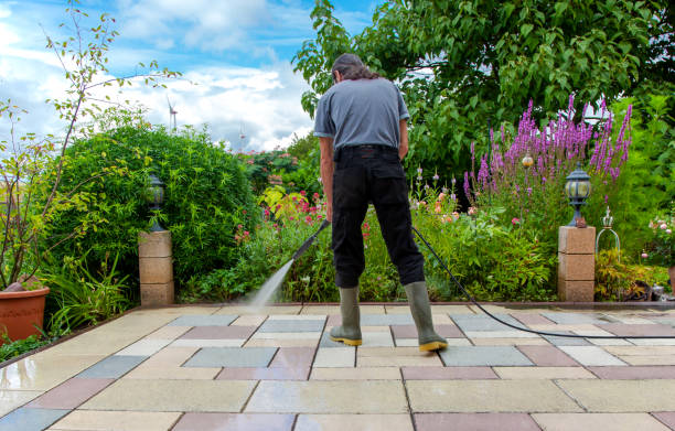 Best Concrete Surface Cleaning in Darien, GA