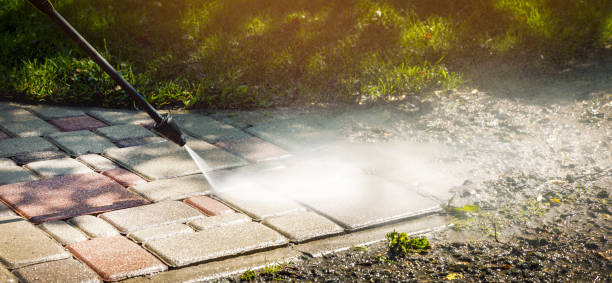 Best Roof Cleaning and Mildew Removal in Darien, GA